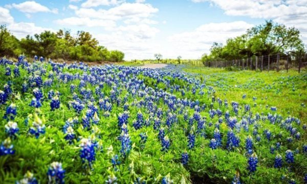 Bnbbyc19 Tiffany Hartmann 1 1