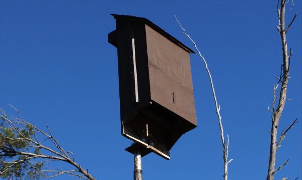 Bat House