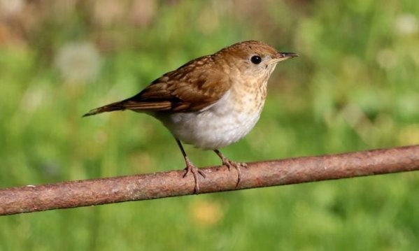 355702069 1 Margaret Kolodick Bnb Pc 2023