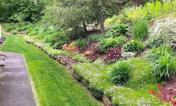 garden etiquette tips