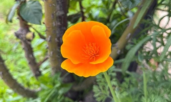 14 Sadie Chilton Bbam26