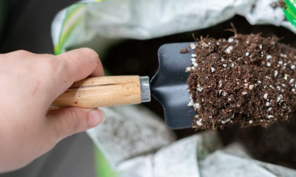 hand holding a gardening shovel, potting mix vs garden soil
