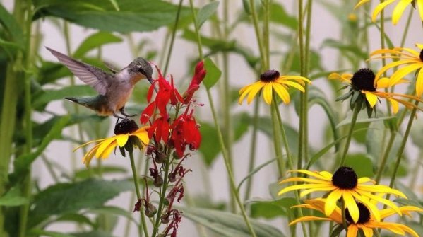 301649944 1 Leigh Scott Bnb Hpc 2022