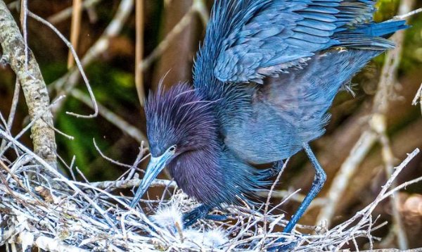 309222731 1 Anthony Lofrese Bnb Pc 2022